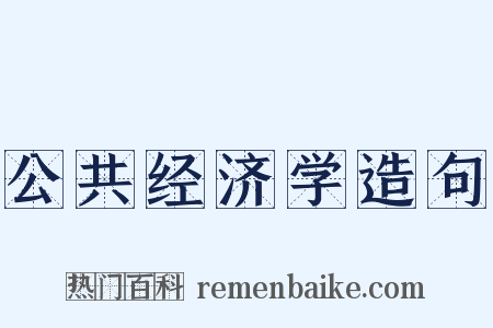 公共经济学造句是什么意思的图片